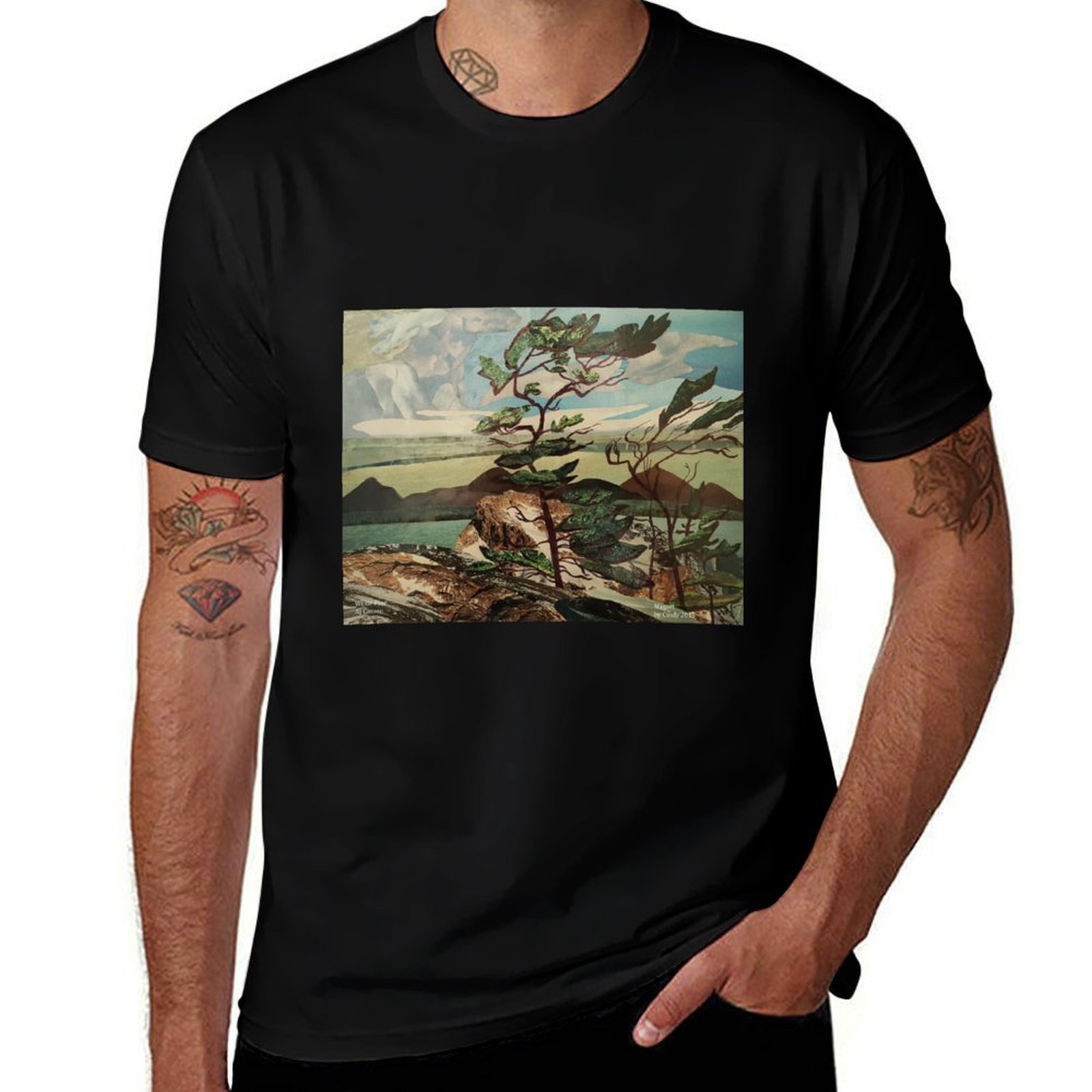 Landscape, Group of Seven, Whi - Outdoor Sportsman Group recension och pris