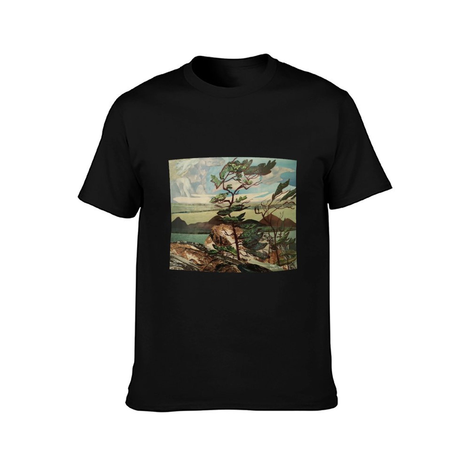 Landscape, Group of Seven, Whi - Outdoor Sportsman Group recension och pris