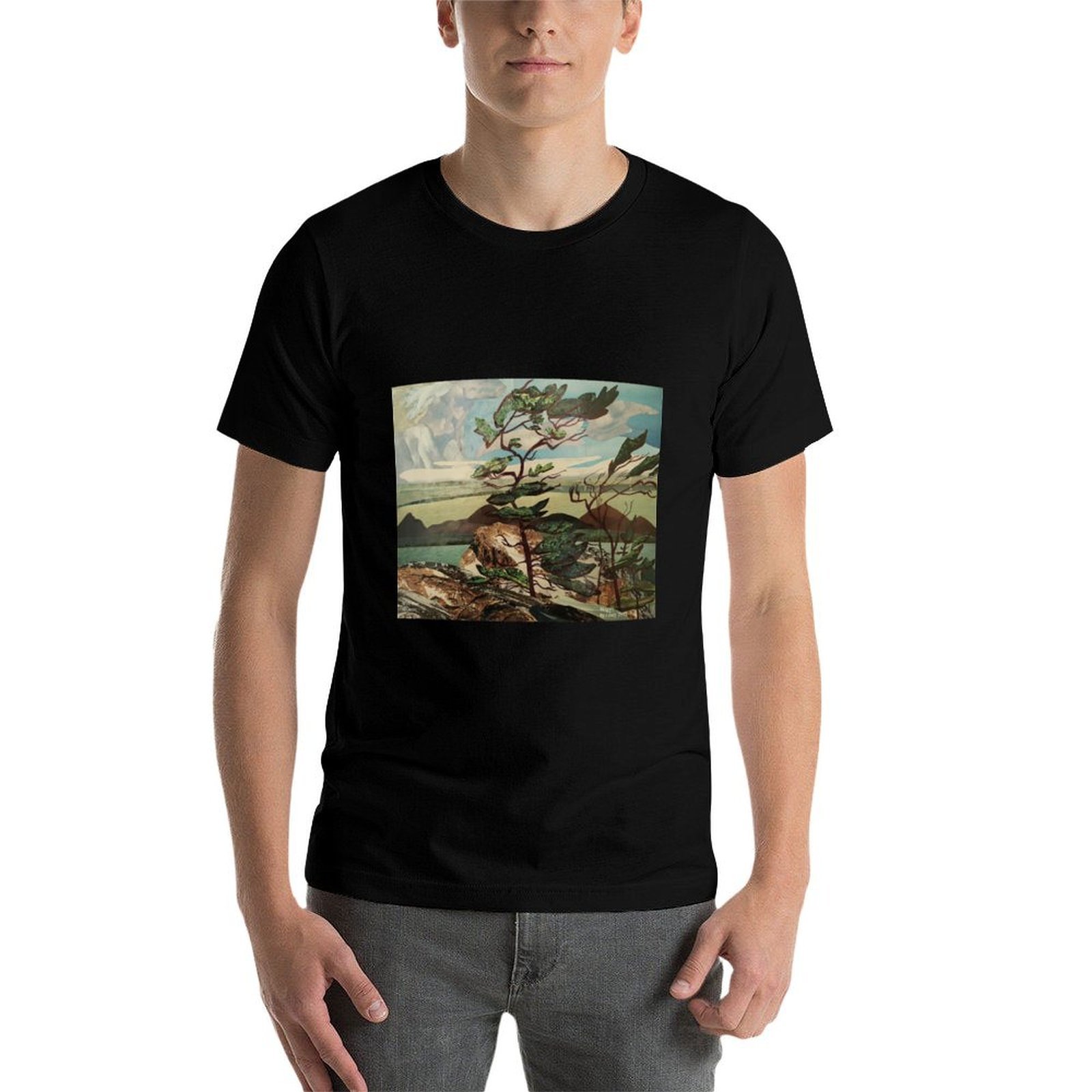 Landscape, Group of Seven, Whi - Outdoor Sportsman Group recension och pris